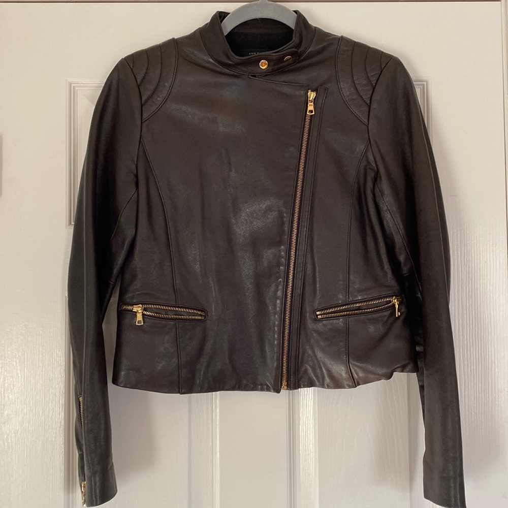 Ann Taylor Dark Brown and Gold Moto Genuine Leather Jacket